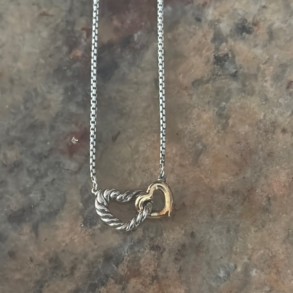 Elegant Silver and Gold Heart Necklace